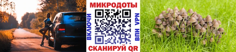 Галлюциногенные грибы Psilocybine cubensis  Ленинградская 